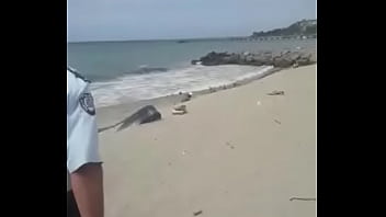 Preview 1 of Video Yojis - La guaira