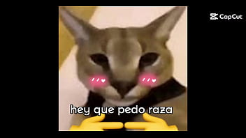 Preview 1 of Fur Cset - Mi primer video !!