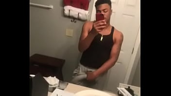 Preview 4 of Bert - Verification video