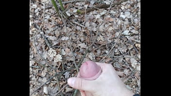 Preview 3 of Hi Spped Sex Machine - Outdoor handjob
