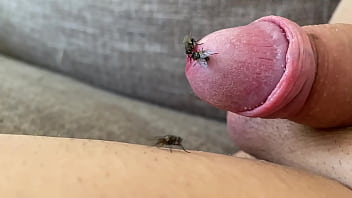 Preview 1 of Fine Man - Neostinydick - Lots of flies on my cock make me hard and wet [2024]