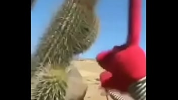 Preview 2 of Amateur Teen Victoria - Un cactus hace gemir a Bodoque