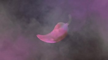 Preview 1 of Monsrer Tits - Descontando a raiva da empresa de &ocirc_nibus se masturbando gostoso,  Veja mais em XV Red
