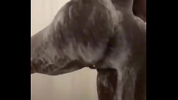 Preview 2 of Xxxxkahani - Clap ass