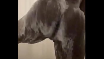 Preview 1 of Xxxxkahani - Clap ass