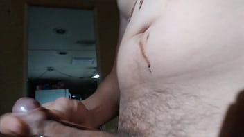 Preview 4 of Seachcat Pet - Verification video