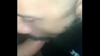 Preview 2 of Taylor Swallows - 02/20