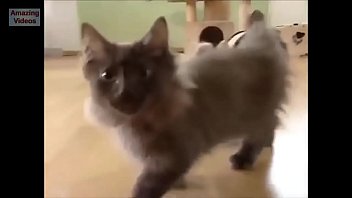 Preview 4 of Squirt Drinking Girls - Pussy compliation