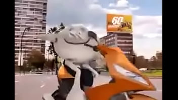 Preview 3 of Wwwxxx Mam Com - Marselo motoqueiro fudendo na moto