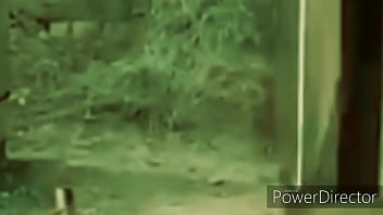 Preview 1 of Hot Thai Solo - Cangurus brigando ao som de link park 2020 atualizado