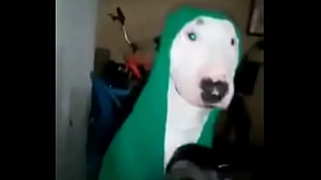 Preview 2 of Lipstick Xxxx Condom Xxxx - cachorro se preparando pro rango gostoso