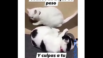 Preview 2 of Young Tube Xclips - Me follo una venezolana culona rica