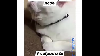 Preview 3 of Young Tube Xclips - Me follo una venezolana culona rica