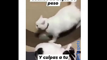 Preview 1 of Young Tube Xclips - Me follo una venezolana culona rica