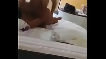Preview 2 of Aabiwasi Girls Xnxx Video - Toma cachorro