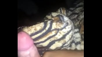 Preview 1 of Big Cock Fuck Yuong Girl - Um pouco de mim
