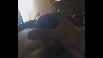 Preview 1 of Indian Wanking Pig - CHILENOS
