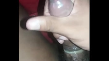 Preview 4 of Denmark Dog - Pau Bab&atilde_o