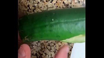 Preview 3 of 2018 Xxxbp - Dick in a Cucumber