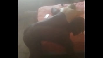 Preview 2 of Free Animal Xvideo - Jr n Jess