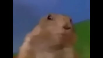 Preview 2 of Big Fatanalvideo - dasdasdasdd