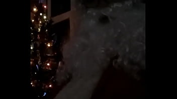 Preview 4 of Slutty Tobie - End of Christmas?