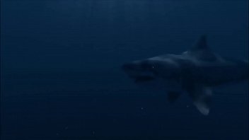 Preview 2 of Failm Xxxvidoes - Super Shark:  Sexy Bikini Girl