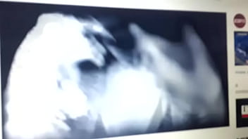Preview 1 of Asshole Tatoo - Rica
