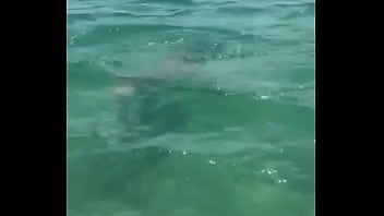 Preview 2 of Alexis Texas Tube - O canto da sereia