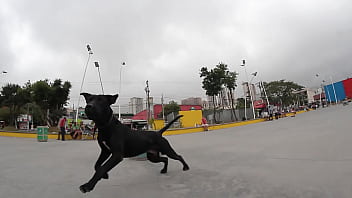 Preview 3 of Komz Xxx - Bombado marretando a espanhola