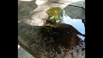 Preview 4 of Soy Tugs - Amateur Teen Creampie And Pissing After Outdoor Sex