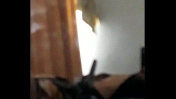 Preview 3 of Alexis Rodriguez Lex Hd - A lo lucho Castro