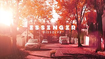 Preview 4 of Indian Group Rap - Essenger - Dissolve (Melodic Dubstep)