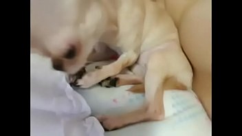 Preview 1 of Porn Family Porn Tube - ch&uacute_t tự sướng