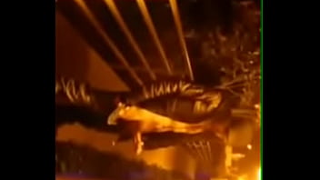 Preview 4 of Bachcha Wala Bf Video Dekhna Hai - Verification video