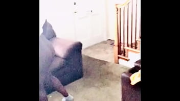 Preview 1 of Baby Cuda Cudi - Miss Hershey taking dick and playing with dat pussy