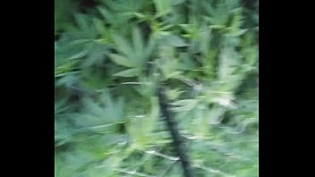 Preview 3 of Desi Romance Videoes Download - _