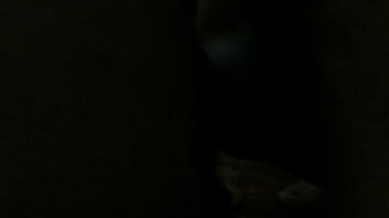 Preview 2 of Sexxy Video Com - Fuder &eacute_ gostoso demais - BSB putaria