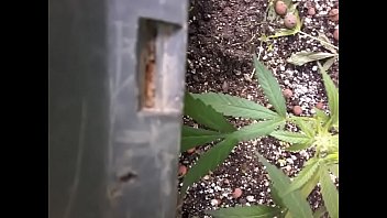 Preview 4 of Brigitta Kocsis - Quick Suck&amp_Fuck In Garden