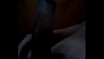 Preview 1 of Black Enboly - pijon negro argentino