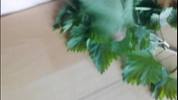 Preview 2 of Amateur Big Plug - Cock, cbt