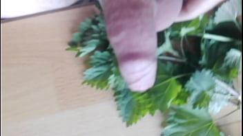 Preview 1 of Amateur Big Plug - Cock, cbt