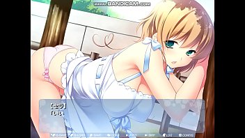 Preview 1 of Shemale Fanta - セラ２