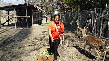 Preview 2 of Gina Gerson Big Hot Xxx Videos - Fiquei toda molhada ao ver o tamanho do membro de um cavalo !!! Queria que meu namorado fosse assim !!! Paty Bumbum,  El Toro De Oro