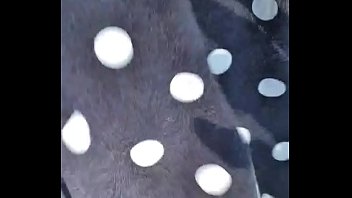 Preview 1 of Guy Licks Black Ass Pussy Squirt - Paseio de Domingo da Mimi no parque