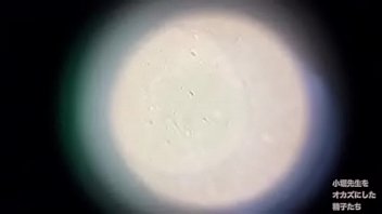Preview 4 of Mumrefxxx - 自分の精子を確認するラッパー