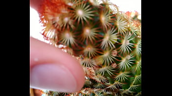 Preview 2 of Dolly Diamond - Caquito Porn (Outdoors ASMR)