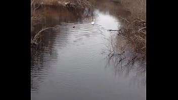 Preview 3 of Step Father An Step Dugther - The swan