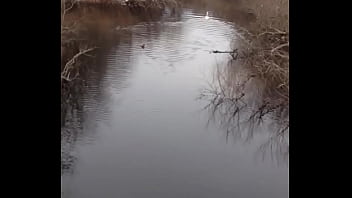 Preview 4 of Step Father An Step Dugther - The swan