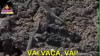 Preview 4 of Make Us Lesbian - Fode essa buceta selvagem